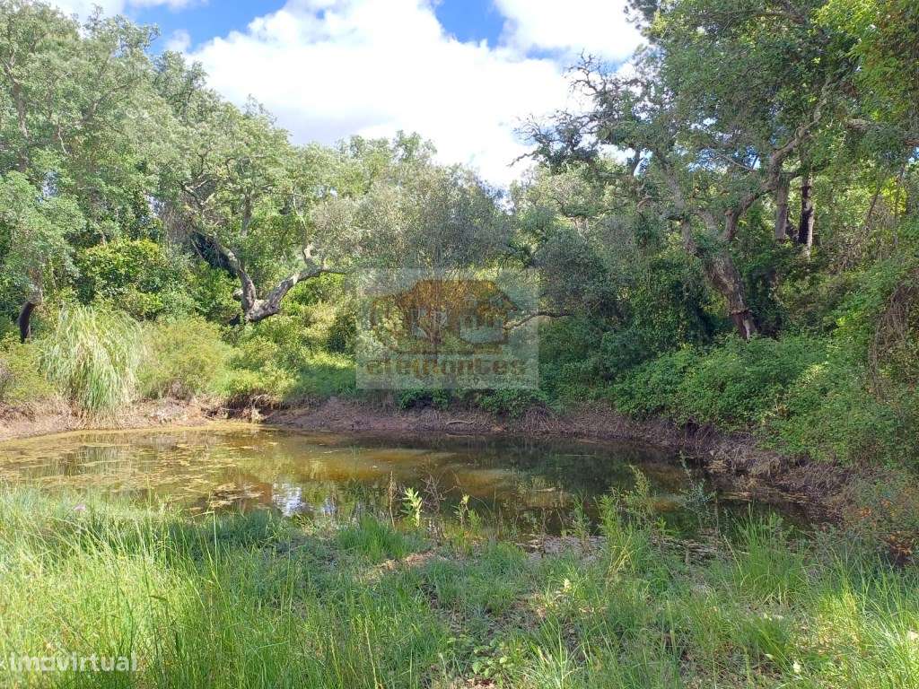 Monte Alentejano - Sul de Melides e 35 minutos da Comporta-20