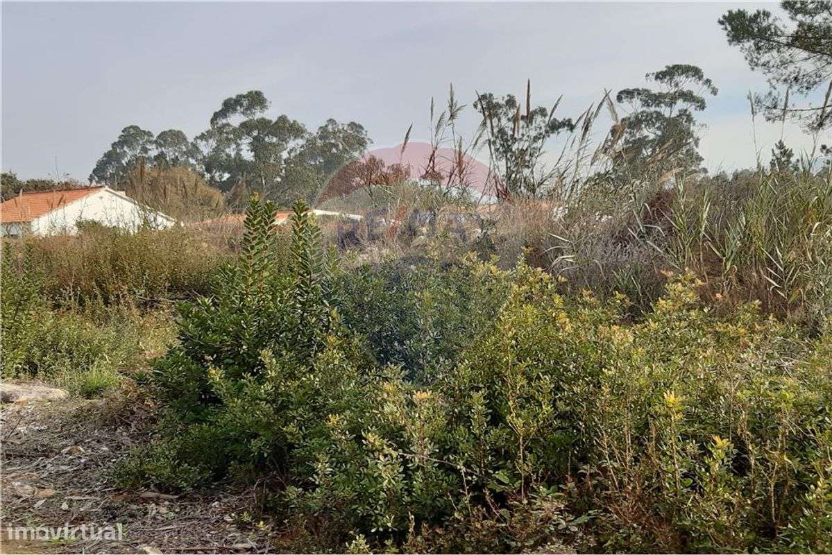Terreno  para venda - Grande imagem: 3/3