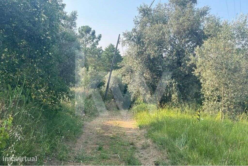 Terreno com viabilidade de construção| Banhos Secos| Santa Clara| Vist - Grande imagem: 4/15