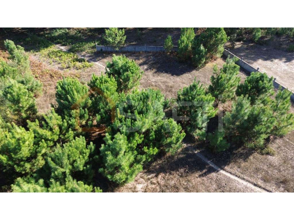 Terreno em Monte Redondo - Grande imagem: 4/17