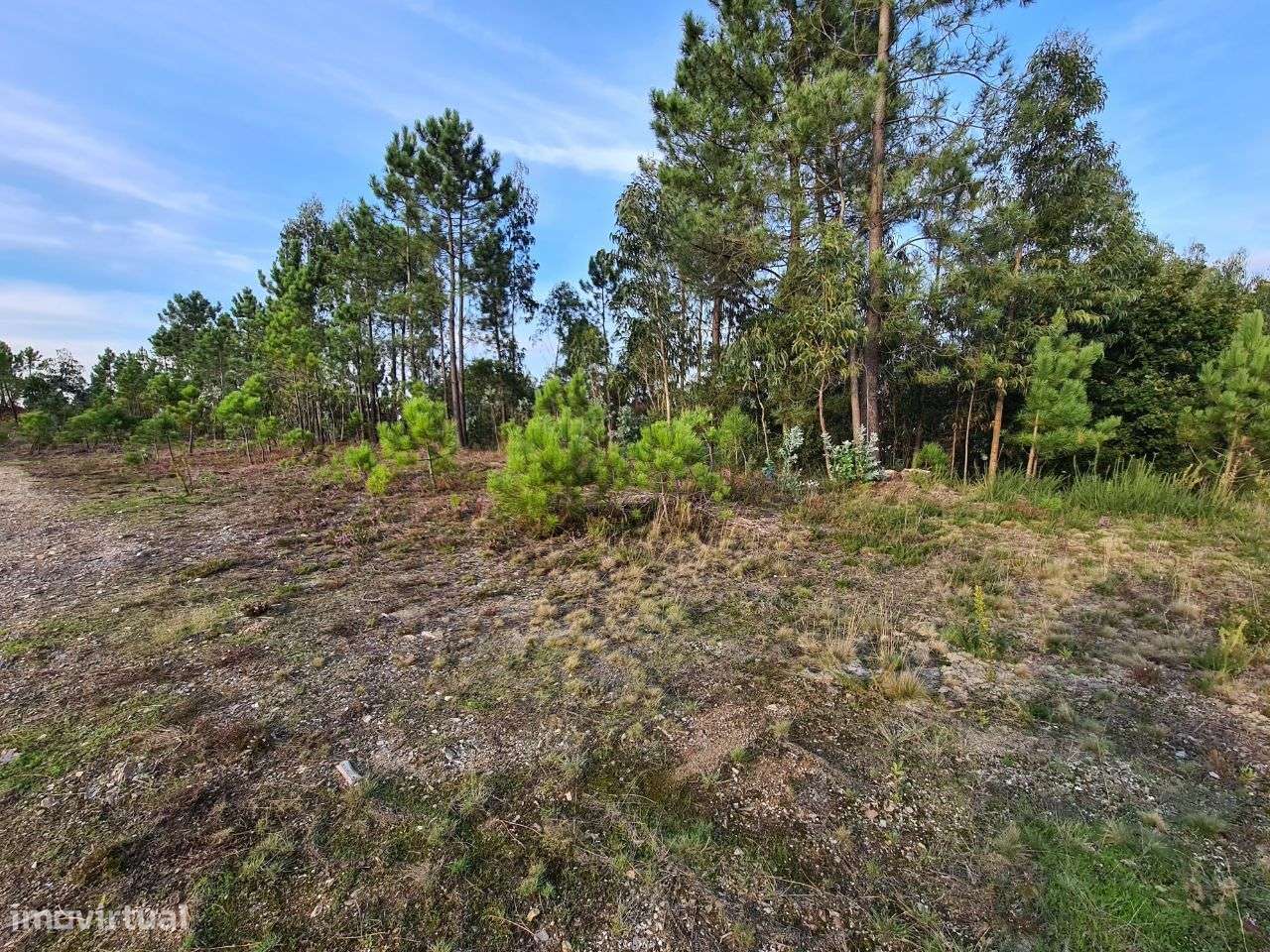 Terreno com Viabilidade de Construção de Moradias-13