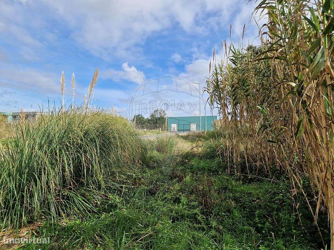 Terreno  para venda - Grande imagem: 4/11