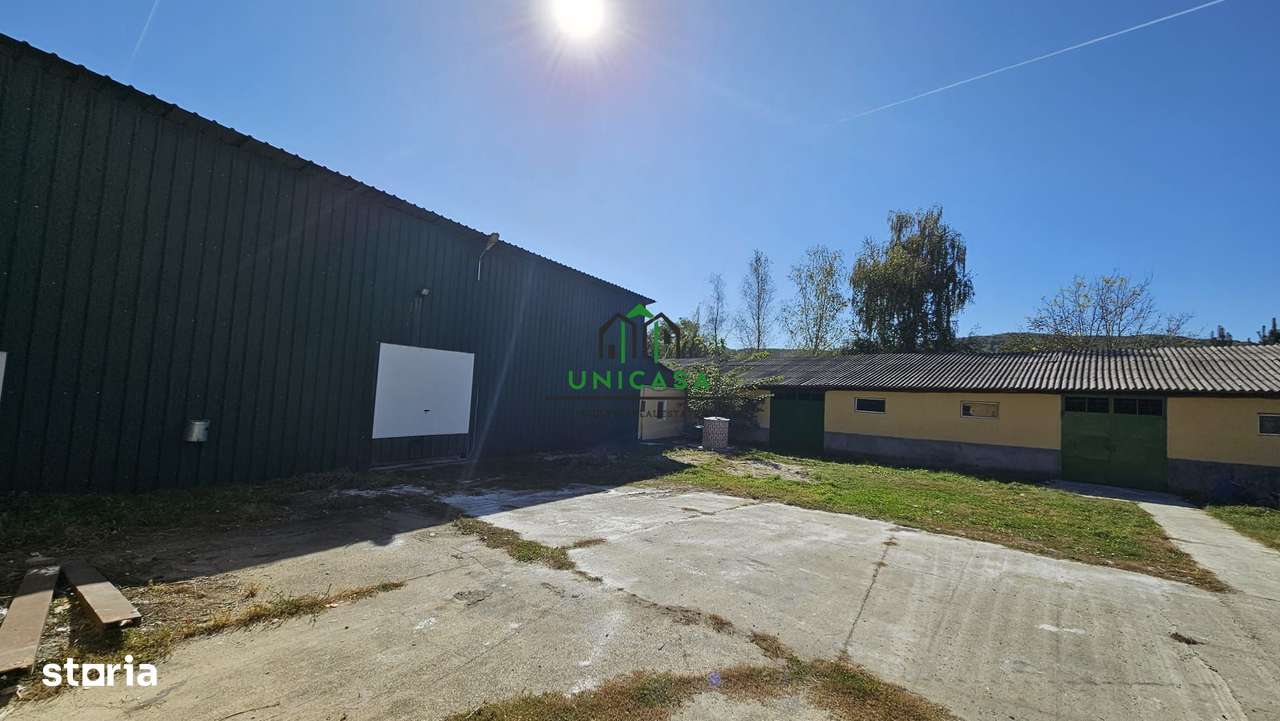 Spatiu Industrial/Depozitare/Hala - Imagine principală: 3/9