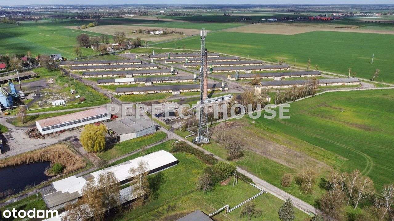 Ferma drobiu, działka 6,8 ha - Pełny obrazek: 2/17