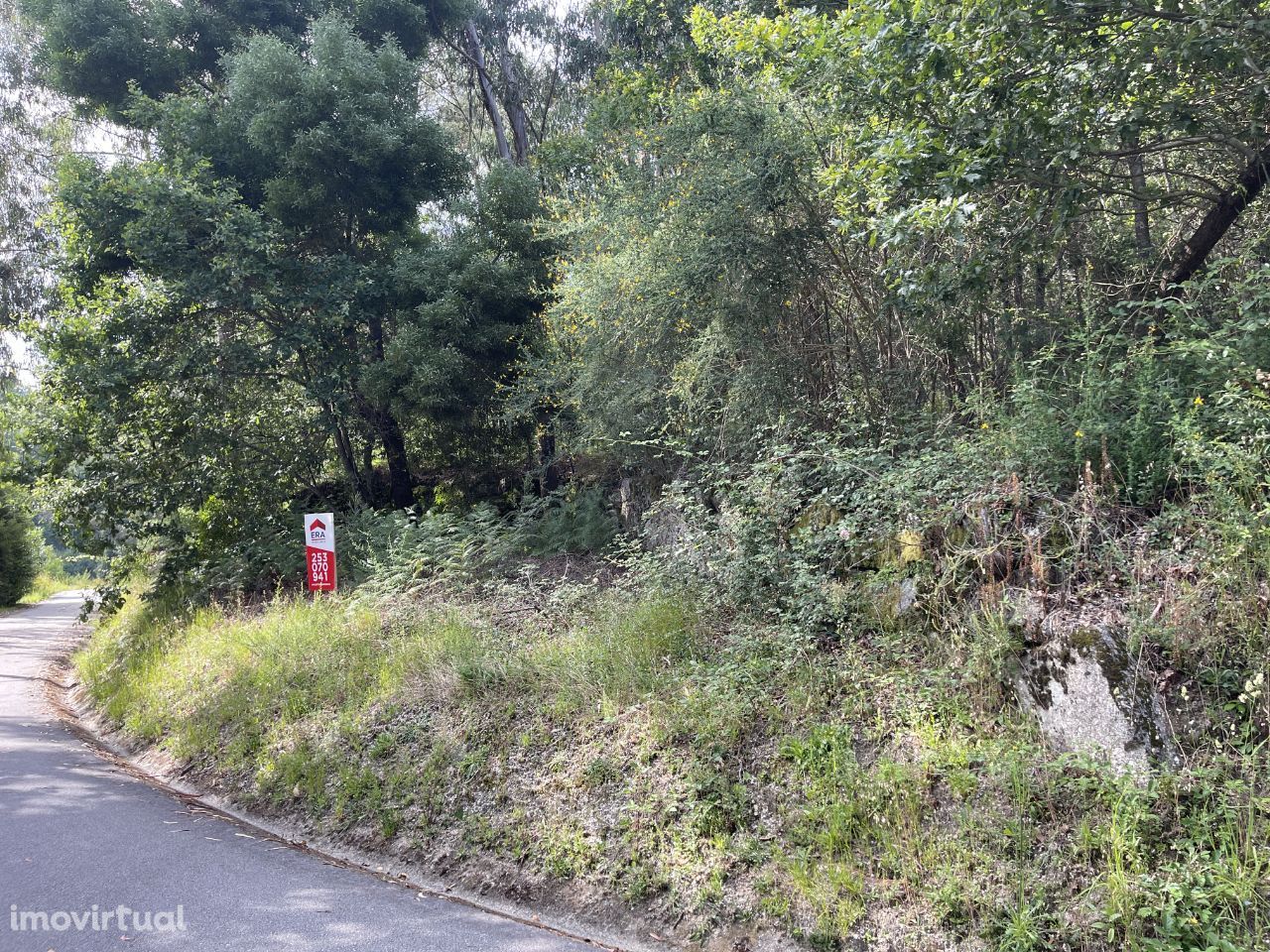 Terreno Rústico com 9000m2 na Póvoa de Lanhoso