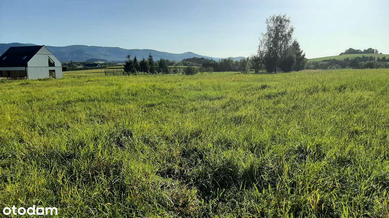 Międzyrzecze Górne działka budowlana 2243m² w malowniczej okolicy - Pełny obrazek: 4/4