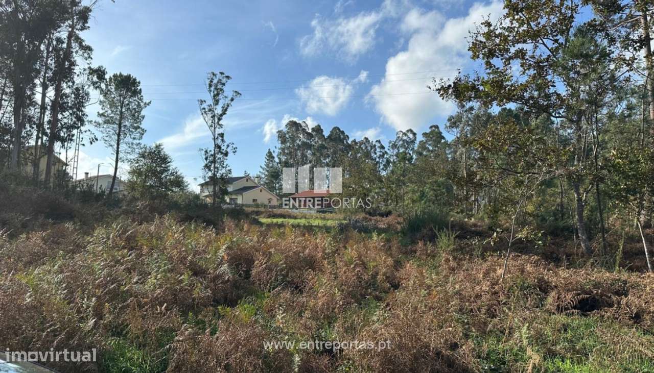 Venda de terreno para construção com 1432m², S. Pedro da Torre, Val - Grande imagem: 3/30