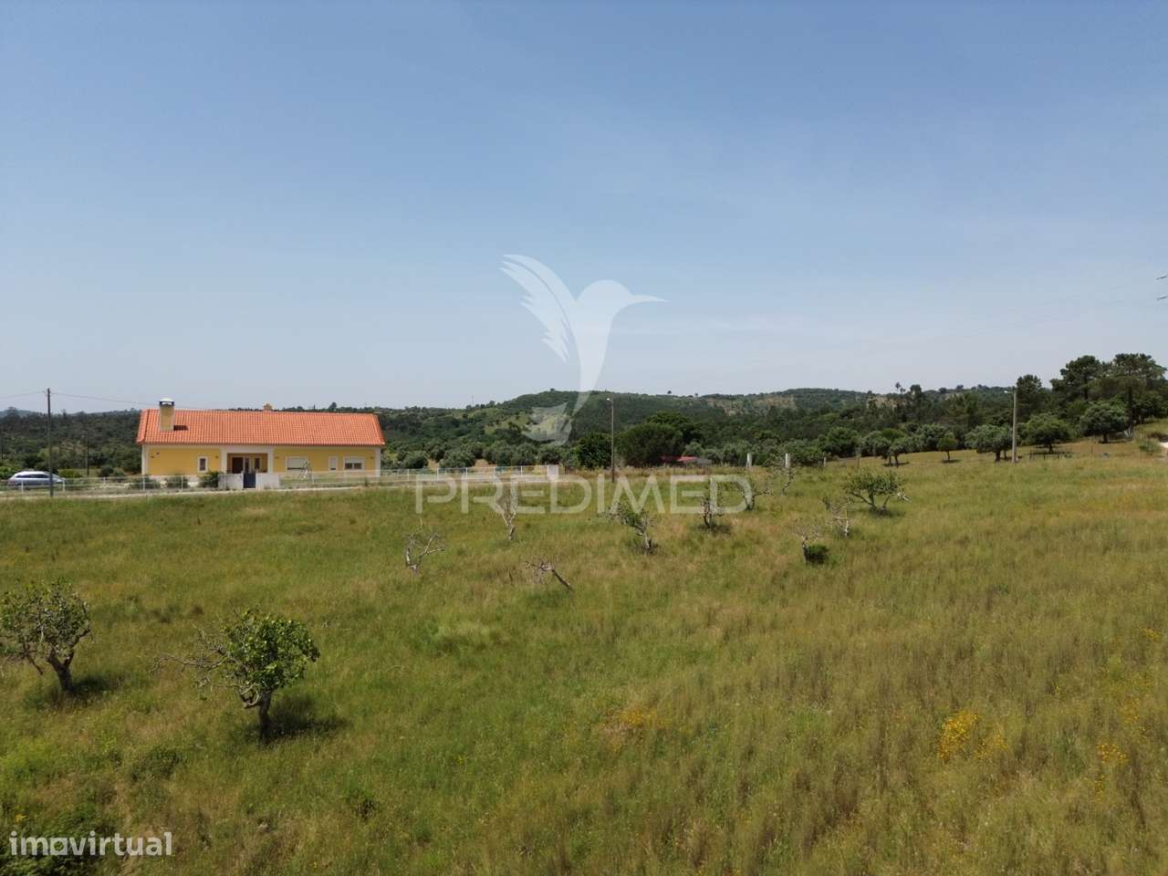 Terreno Rústico - Vila Moreira, Alcanena - Grande imagem: 3/11