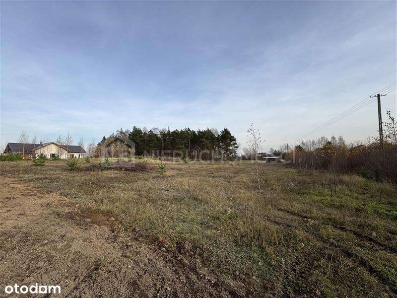 Działka przy lesie 3635 m2 - Lipinki Królewskie - Pełny obrazek: 5/6