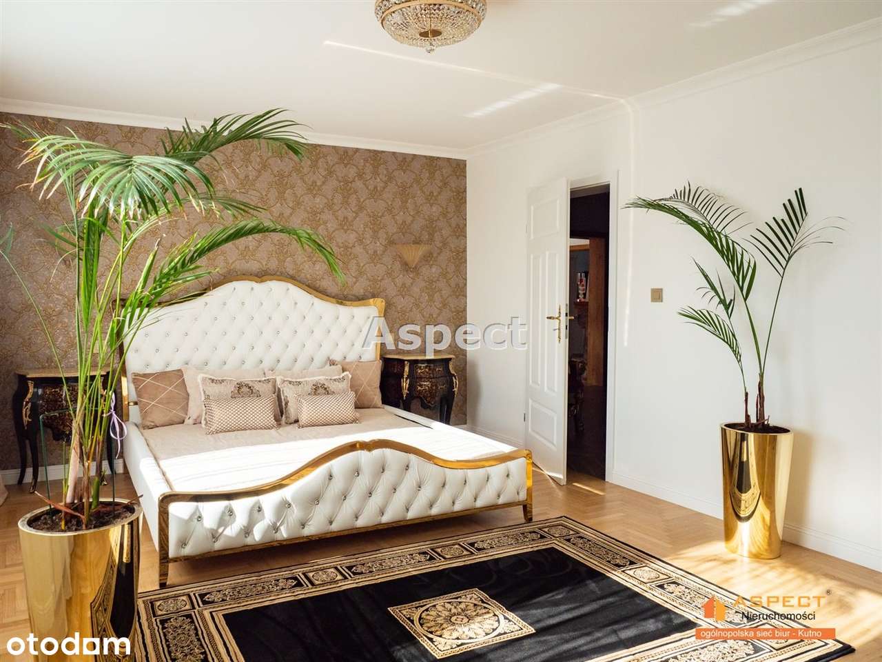 Dom plus budynki pod działalność - Pełny obrazek: 5/20