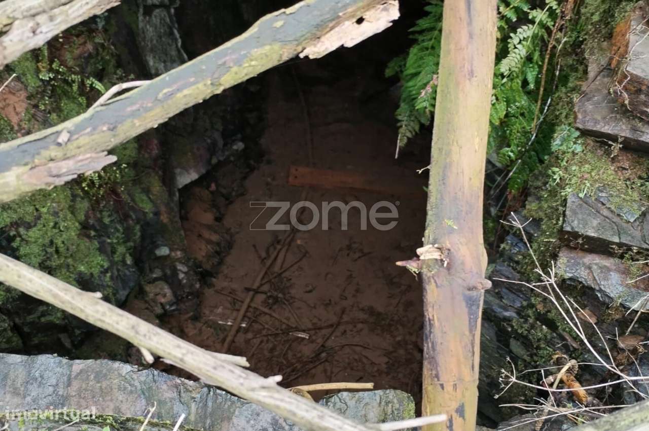 Terreno agricola e florestal.-12