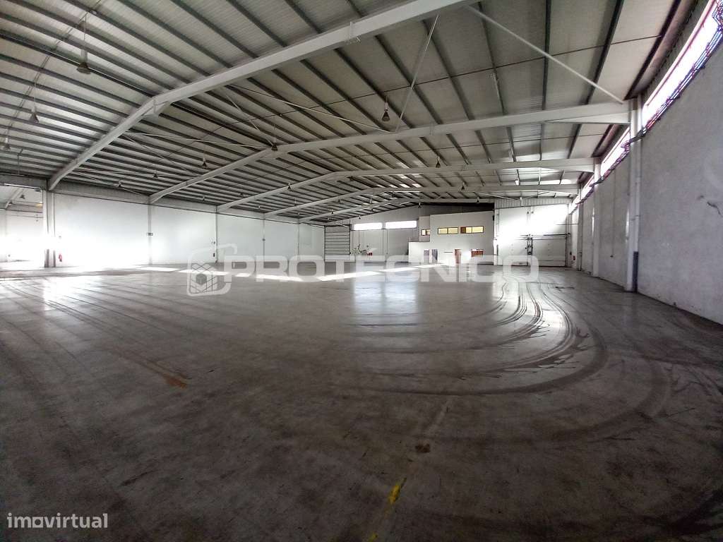 Armazém c/ 1000m2 - Z. I. Albergaria-a-Velha - Grande imagem: 3/23