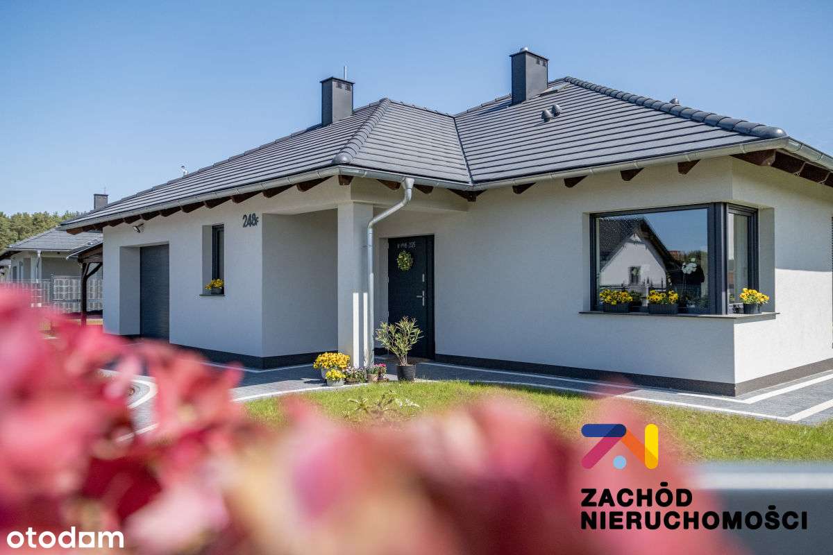 Domy z linia lasu, nowy projekt Agat, Złote