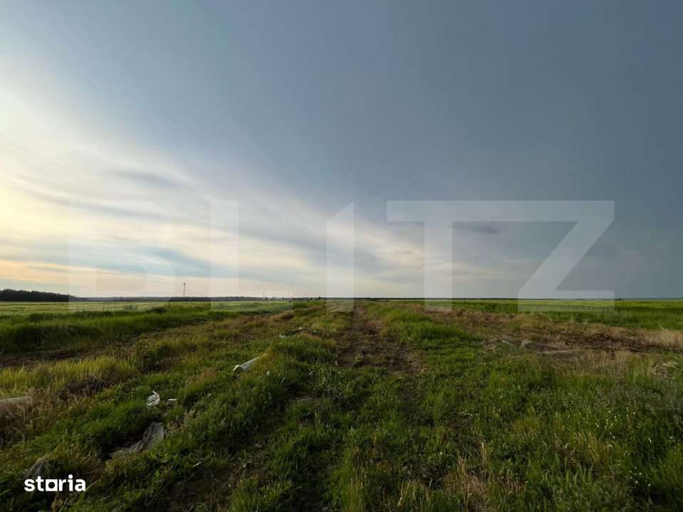 Teren partial intravilan 23.500 mp, apa, curent si supraveghere video, - Imagine principală: 5/11