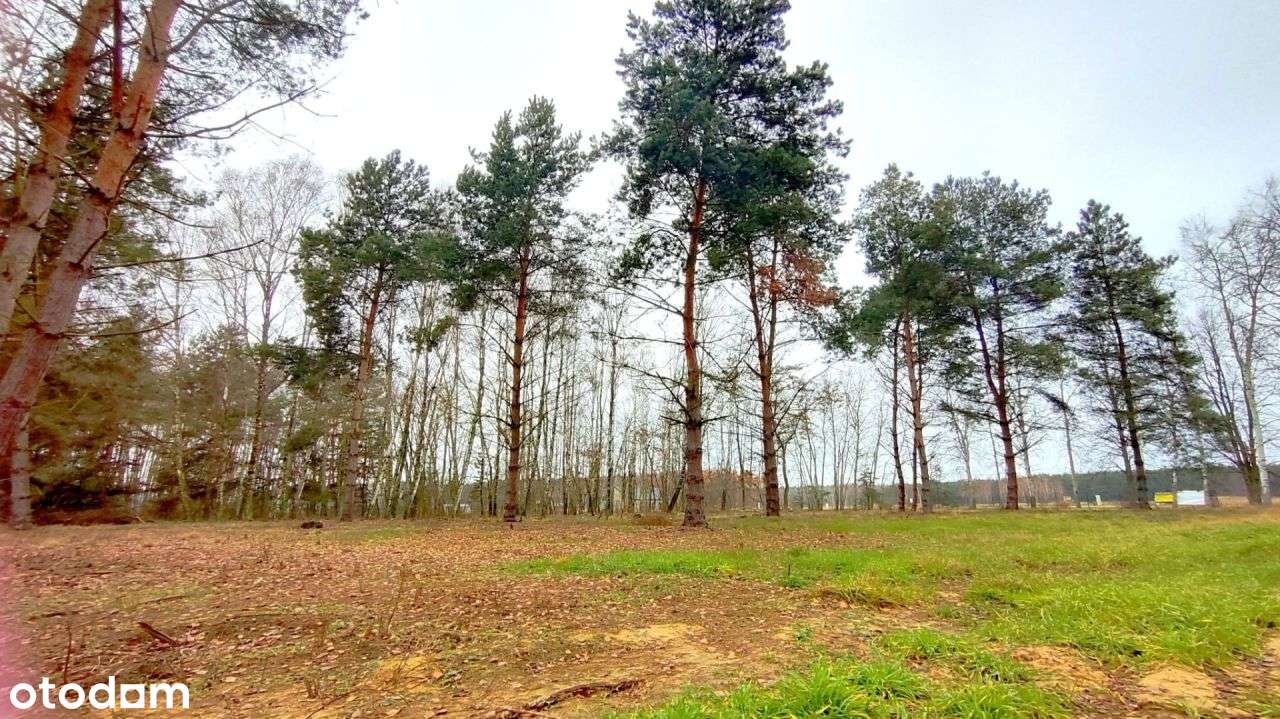 Działka z Wz na sprzedaż, Suliszew k. Skierniewic - Pełny obrazek: 4/6