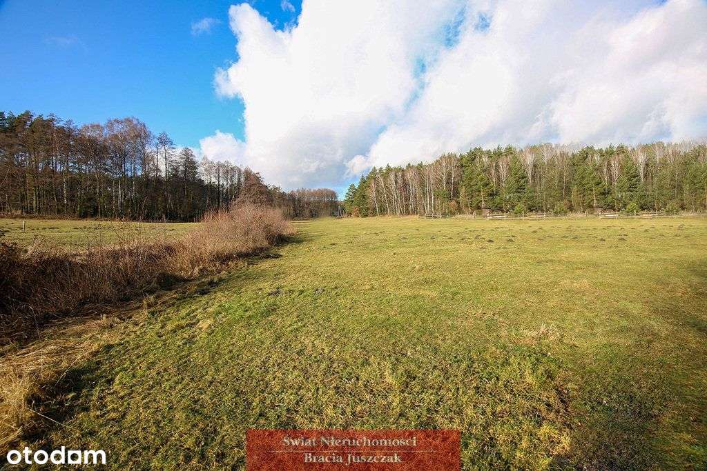 Las - cisza, spokój-3