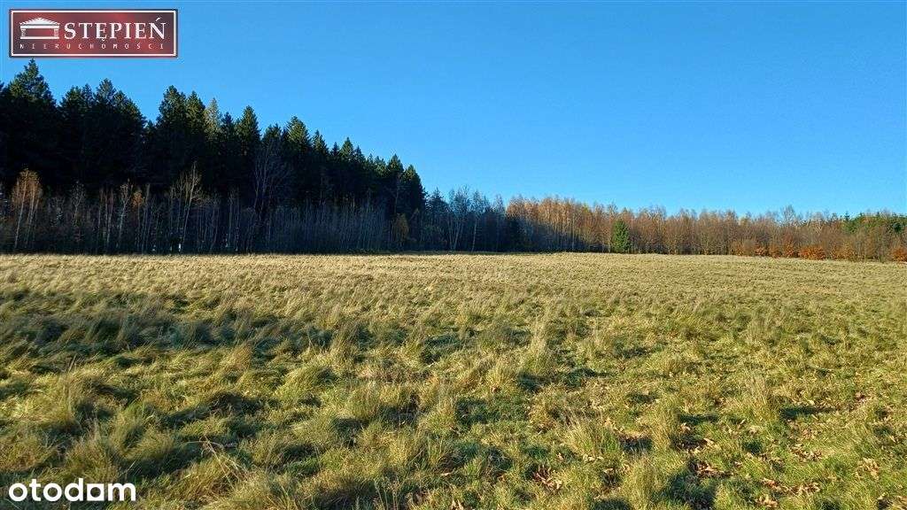 Działka budowla w pięknej lokalizacji - Pełny obrazek: 5/10