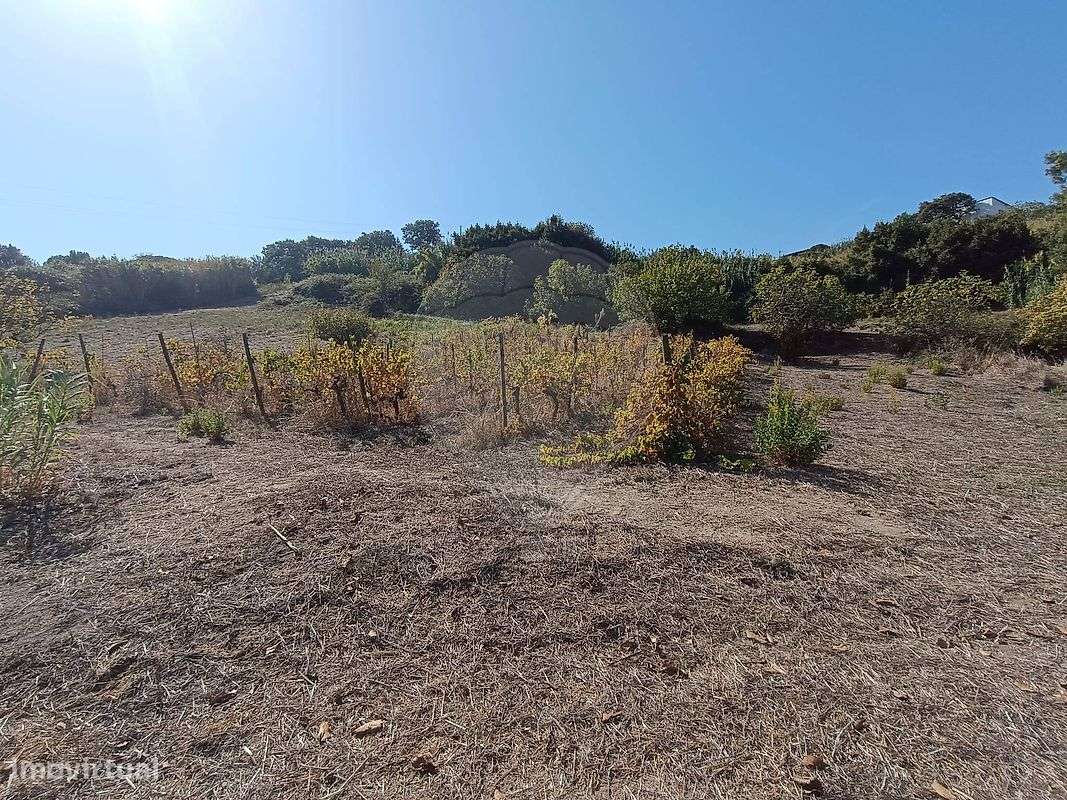 Terreno  para venda - Grande imagem: 5/12