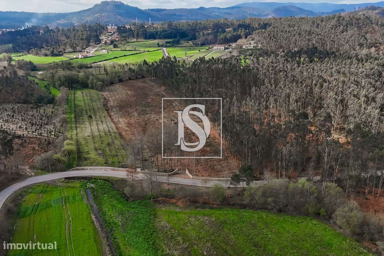 Terreno Agricola, plano e murado, em Ponte de Lima! - Grande imagem: 5/30