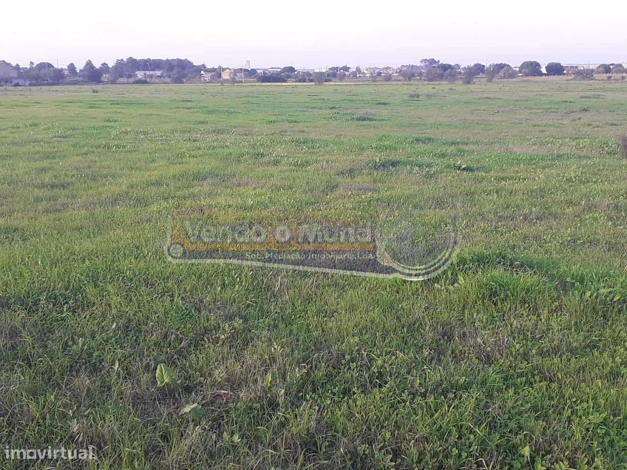 Terreno em Benavente (B501) - Grande imagem: 4/6