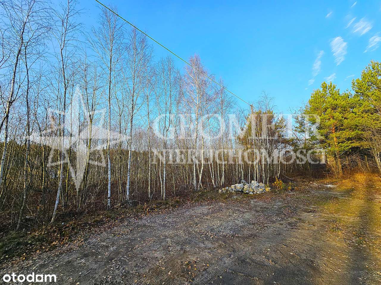 Duża działka pod zabudowę jednorodzinną w tym dwul - Pełny obrazek: 4/7