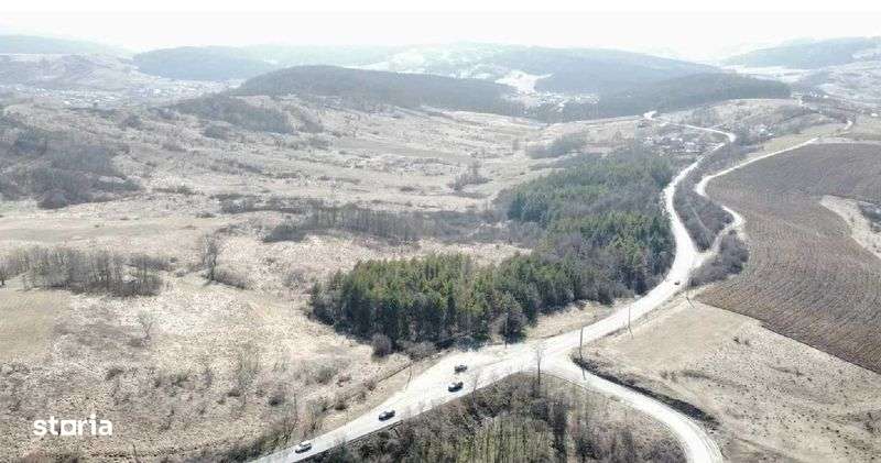 Teren cu potential de afacere - Imagine principală: 4/6