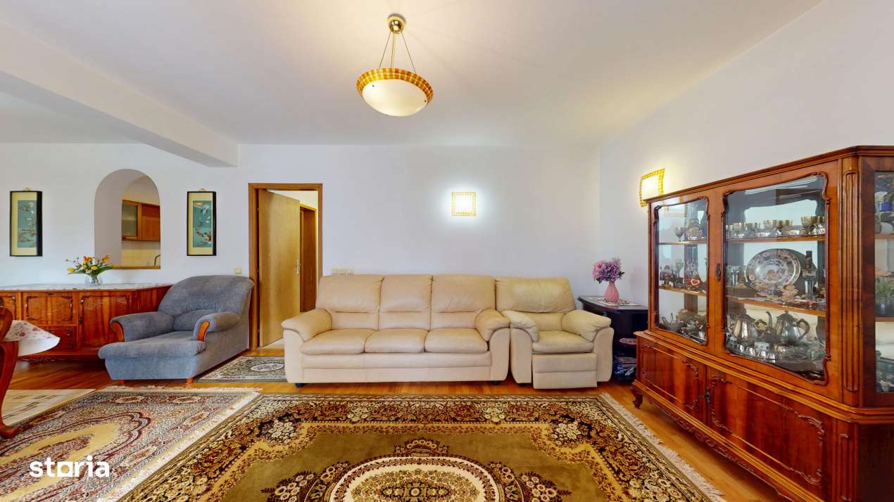 Vila unde diminetile incep cu liniste, nu cu trafic – Iancu Nicolae-2