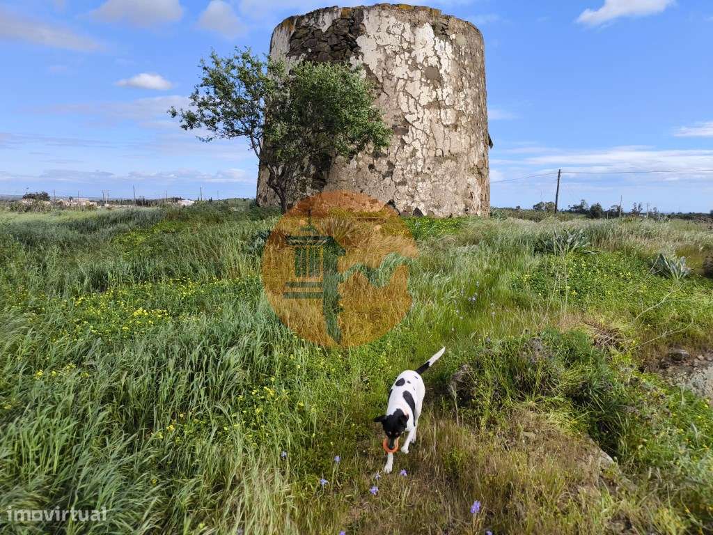 TERRENO COM MOINHO - COM 72.950 M2 - COM POSSIBILIDADE DE CONSTRUÇÃ... - Grande imagem: 5/37