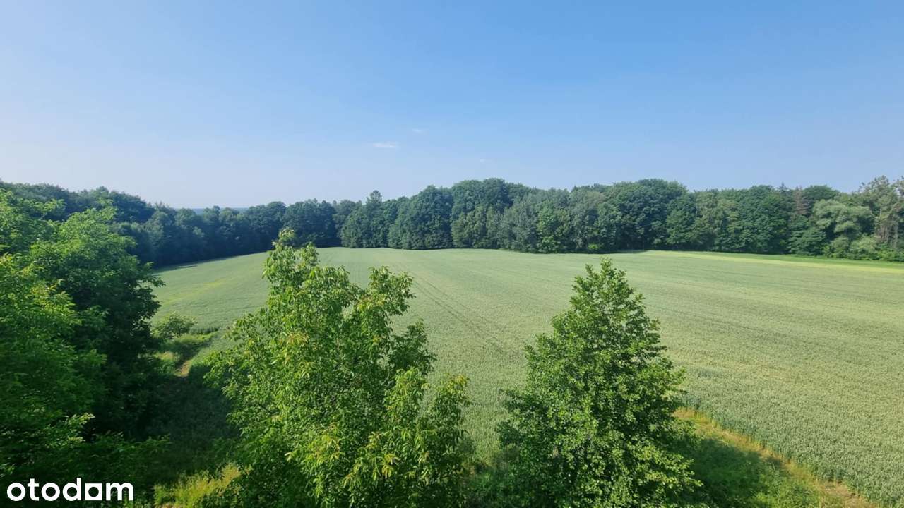 Siedlisko z budynkiem mieszkalnym w Ochabach Małych na sprzedaż.-18