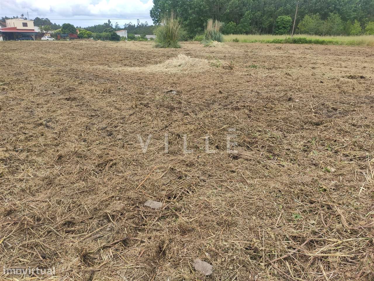 Terreno Urbano  – Bustos, Oliveira do Bairro - Grande imagem: 3/6