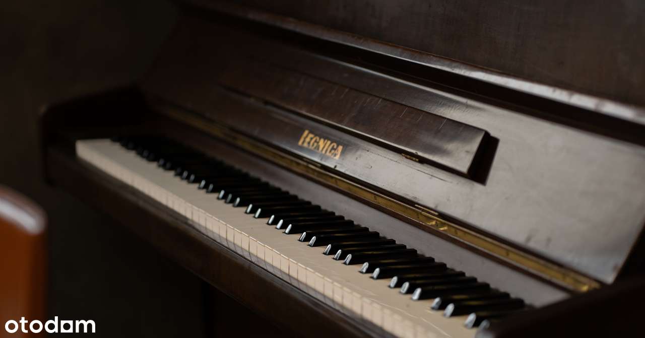 Podlesie (ta część bez smogu) - dom 320 m2 z działką 1400 m2 i basenem-13