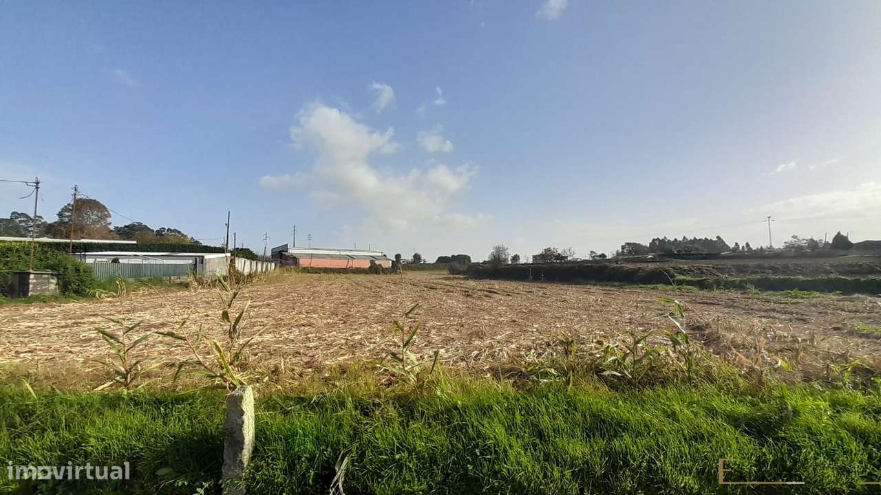Terreno para construção, em Gemunde, Castêlo da Maia - Grande imagem: 5/5