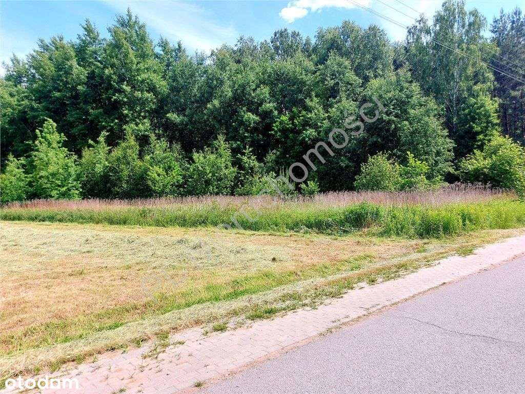 Piękne działki przy lesie - Pełny obrazek: 5/10