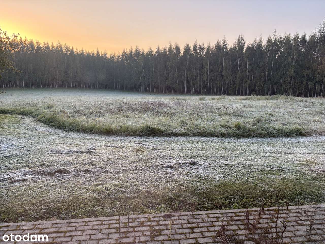 Wyjątkowe siedlisko z domem | Laseczno Małe| Cisza • Natura • Komfort-7