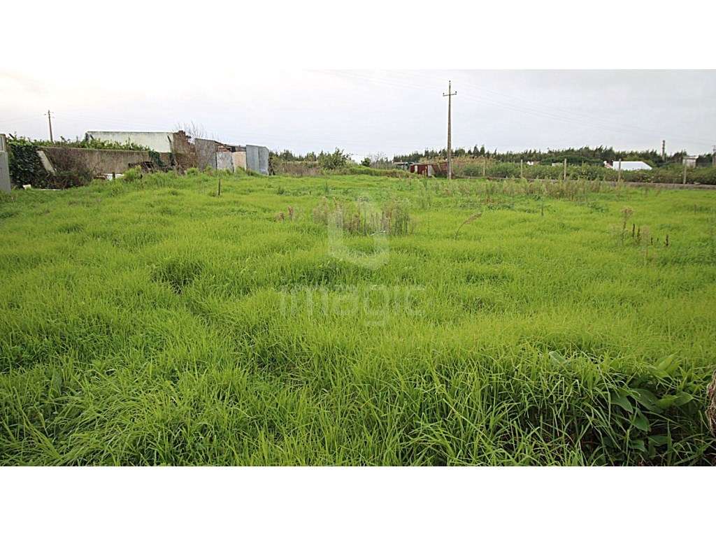 Terreno Urbano para construção de Moradias em banda. - Grande imagem: 4/4