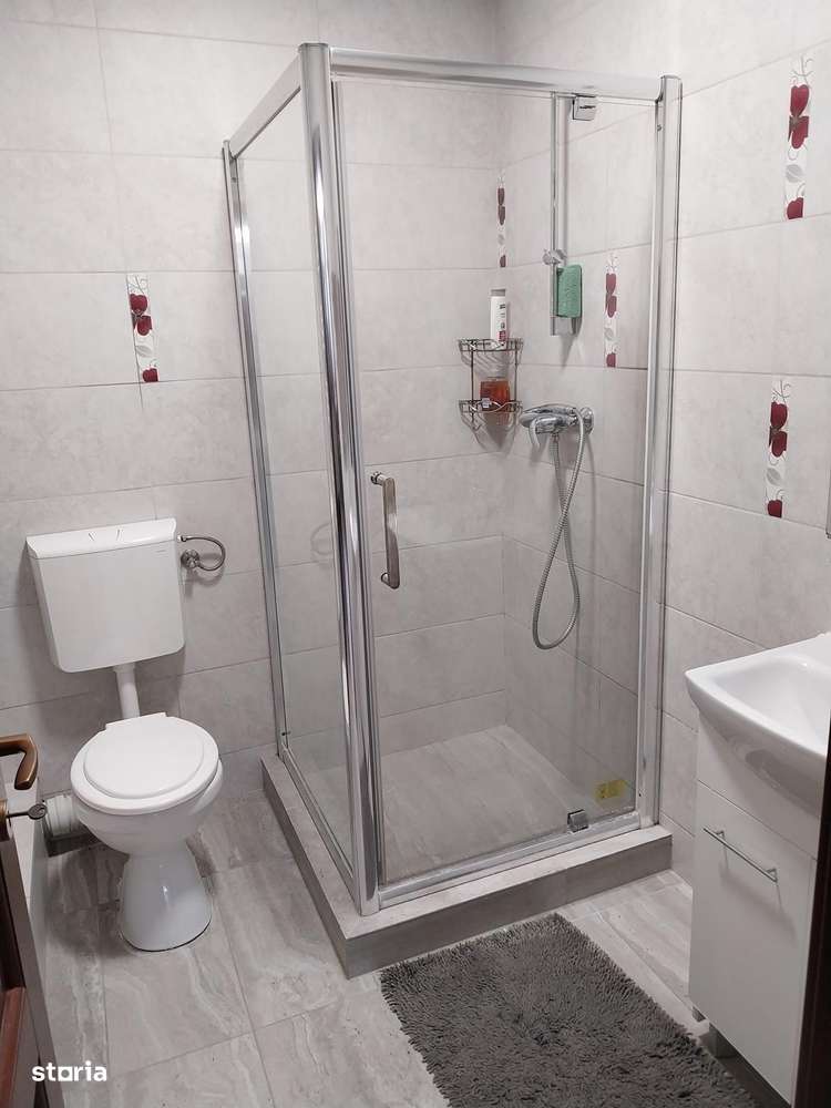 Vanzare proprietate cu doua case si intrari separate curte Giulesti-9