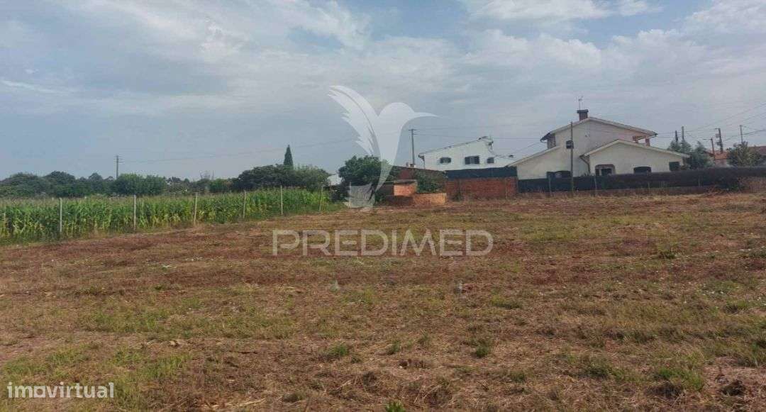 Terreno Rústico em Oiã com 4.190m2 - Grande imagem: 3/5