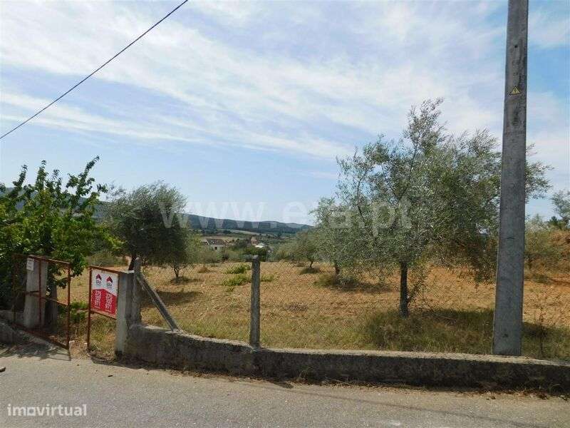 Terreno / Fundão, Salgueiro - Grande imagem: 4/4
