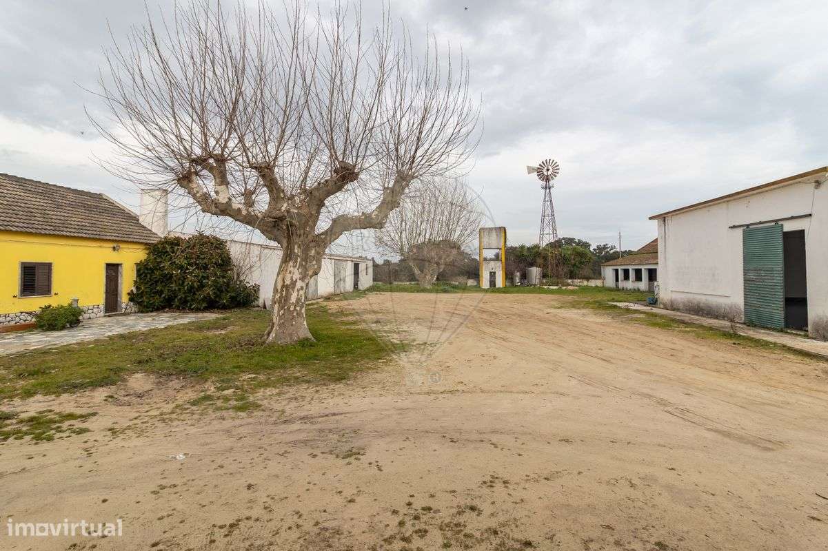 Quinta  para venda - Grande imagem: 5/18