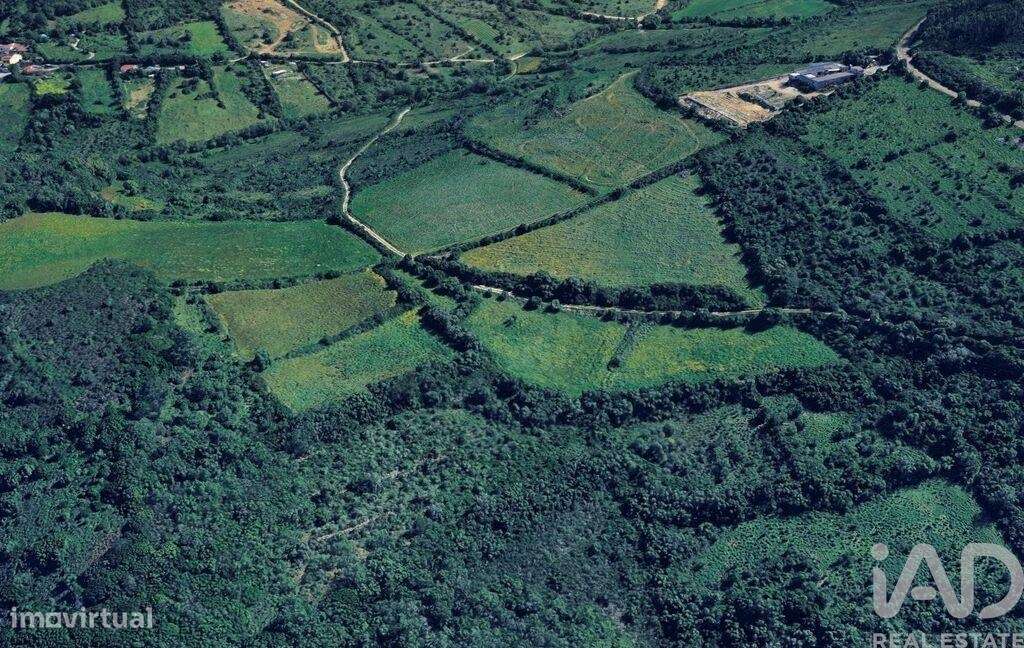 Terreno Agrícola em Igreja Nova e Cheleiros - Grande imagem: 3/11