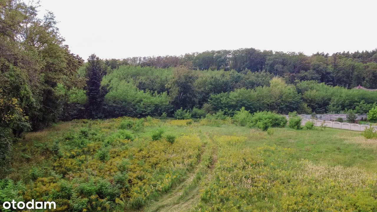 NIŻSZA CENA ! Działki z WZ, wokół jeziora i lasy - Pełny obrazek: 3/7