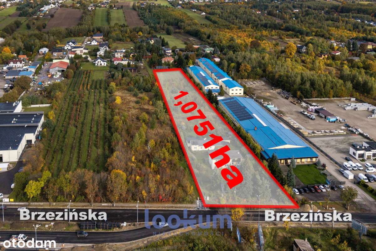 Działka pod firmę lub dewelopera | Łódź Widzew-0