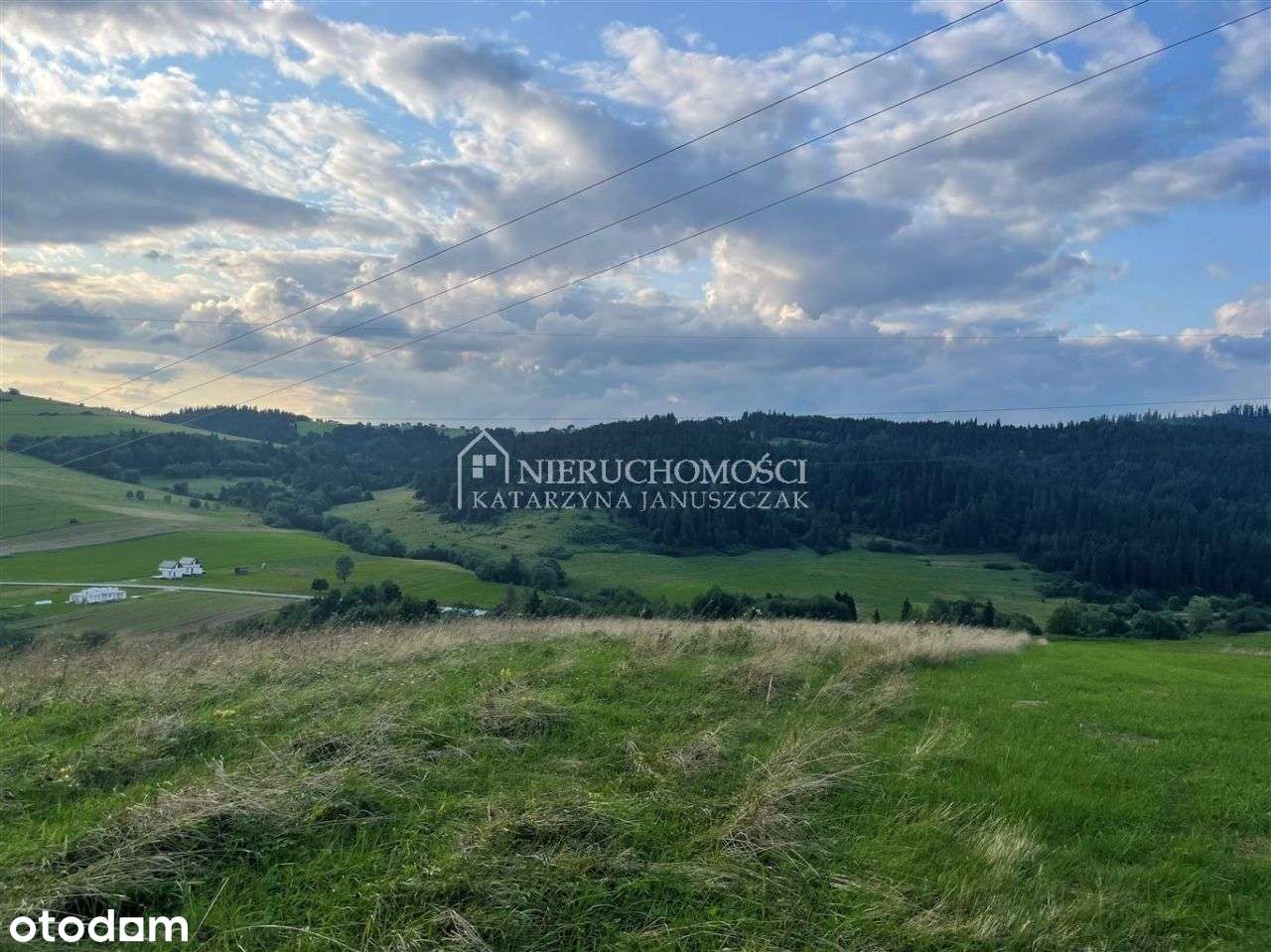 Gospodarstwo Rolne Łapsze Wyżne - Pełny obrazek: 5/8