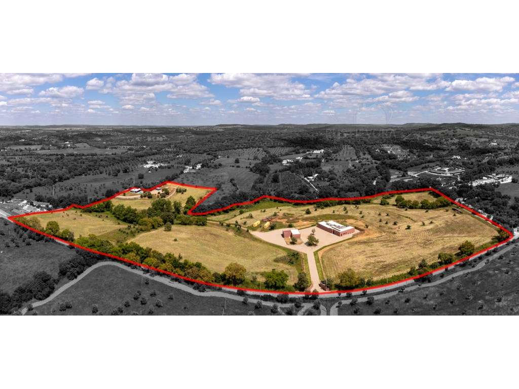 Propriedade contemporânea de 11,5 ha com duas residências independe...-29