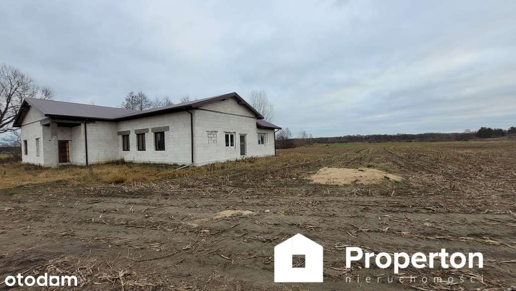 Prawie 7ha działka z budynkiem w Kuczynie - Pełny obrazek: 4/13