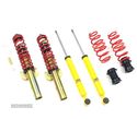 SUSPENSÃO REGULÁVEL EIBACH MTS PARA SEAT IBIZA 6L 02-09 - 1