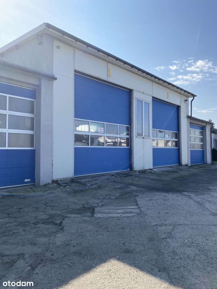 Nieruchomość Komercyjna/cena do negocjacji - Pełny obrazek: 4/10