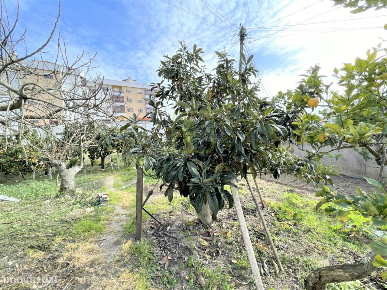 Terreno - Grande imagem: 2/10