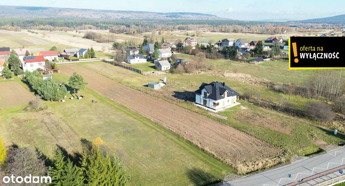 Piękna działka budowlana 3100 m2 - Wilków - Pełny obrazek: 4/5