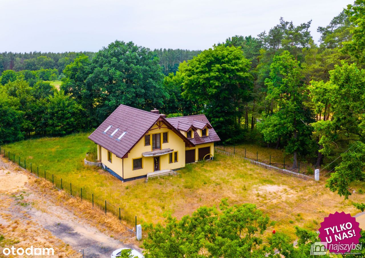 Żarnówko - dom z widokiem na las.